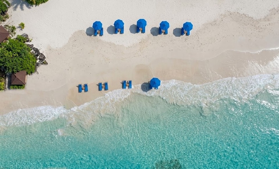 BLUE PARADISE Beach Hotel & Social Hub